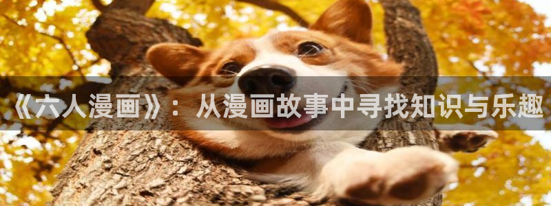 女神漫画在线观看网站
